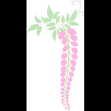 藤の花と葉のイラストとベクター