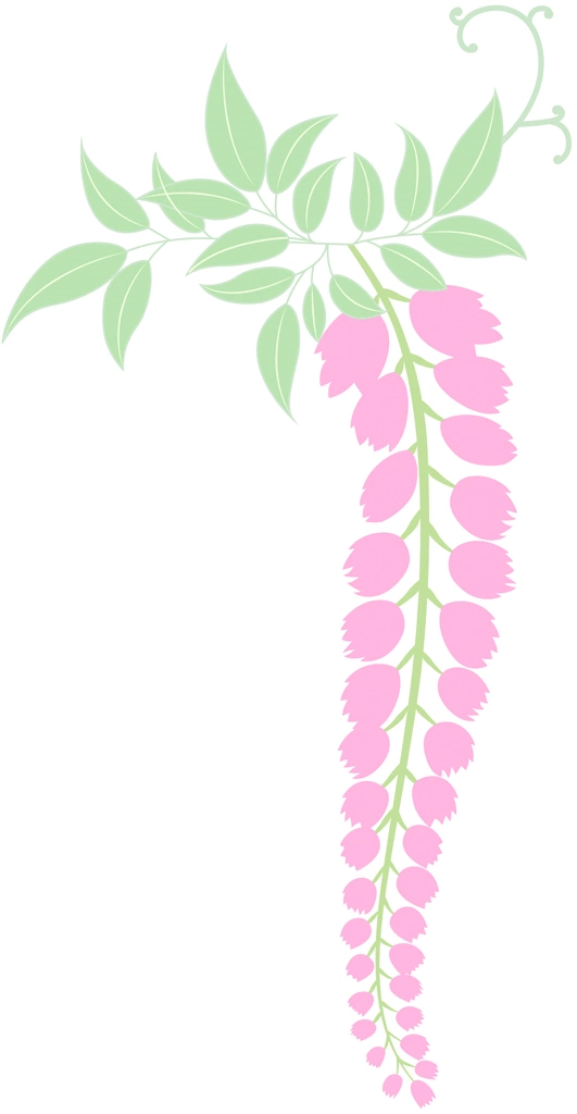藤の花と葉のイラストとベクター | ピンク色