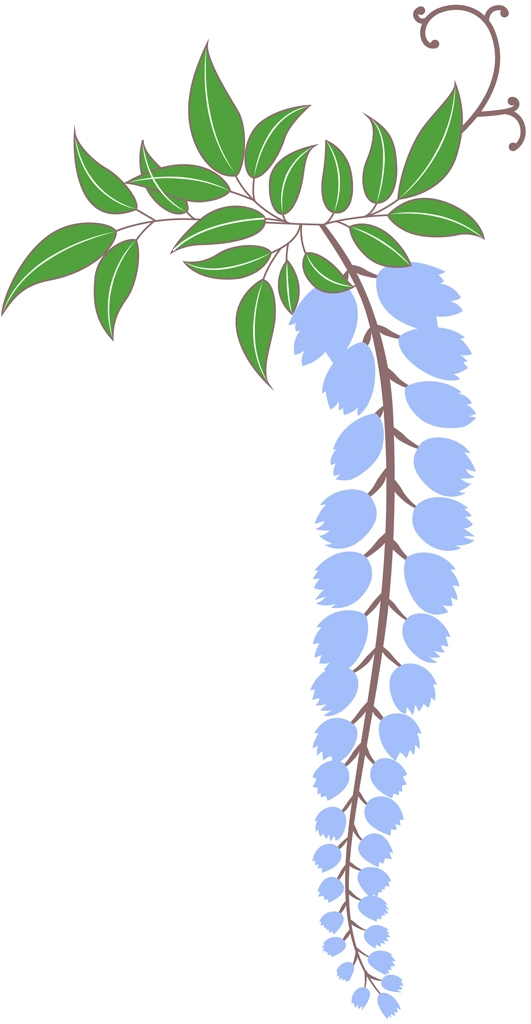 藤の花と葉のイラストとベクター | 青色