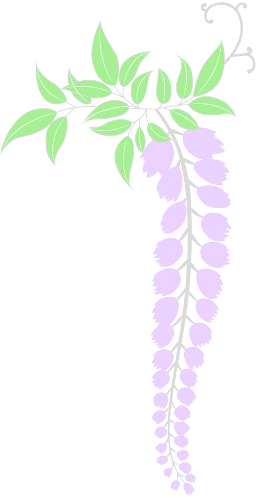 藤の花と葉のイラストとベクター | 薄紫色