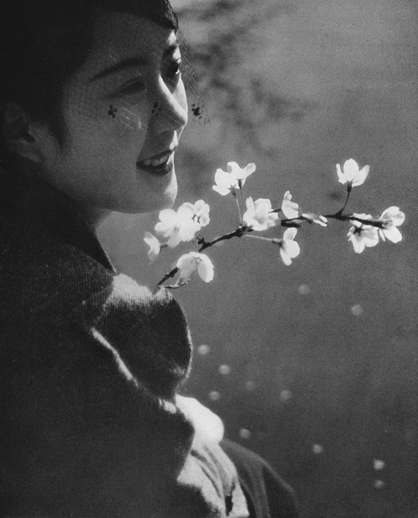 「無題（桜の花と若い日本人女性）」 尾崎三吉 （1938年以前） | ポートレートより